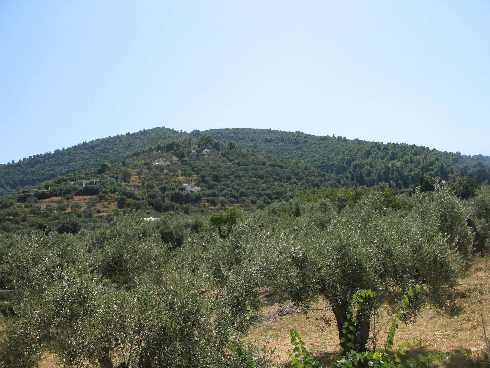 Ξενοδοχείο Πρίγκιπας Στάφυλος Σκόπελος Εξωτερικό φωτογραφία